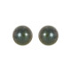 14 Karat White Gold 4 mm Cultured Black Akoya Pearl Earrings