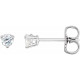 14 Karat White Gold 0.20 Carat Natural Diamond Post Post Earrings