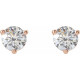 14 Karat Rose Gold 0.50 Carat Natural Diamond Post Post Earrings