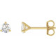 White Lab Diamond Earrings in 14 Karat Yellow Gold 0.33 Carat