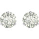 Moissanite Earrings in 14 Karat White Gold 8 mm Round Forever One Moissanite Earrings