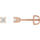 White Diamond Earrings in 14 Karat Rose Gold 1/3 Carat Diamond Stud Earrings.