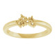 Family Cluster Ring Mounting in 18 Karat Yellow Gold for Round Stone