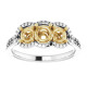 Three Stone Halo Style Ring Mounting in 14 Karat White/Yellow Gold for Round Stone