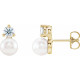 Accented Pearl Earrings Mounting in 14 Karat Yellow Gold for Pearl Stone, 1.95 grams