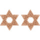 Star of David Earrings Mounting in 14 Karat Rose Gold for Round Stone, 1.11 grams