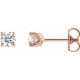 Round 4 Prong Stud Earrings Mounting in 14 Karat Rose Gold for Round Stone, 0.65 grams