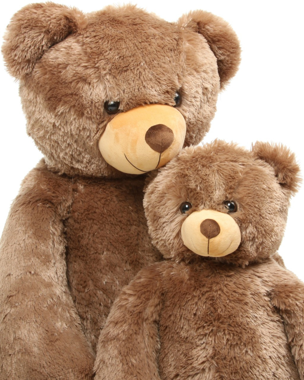 52 Tantalizing Teddy Bears