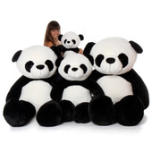 Panda Family