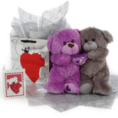 Ultimate Soulmates Big Love Bear Hug Care Package 18in