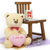 Hug Care Package BooBoo Shags 27in Cream Teddy Bear