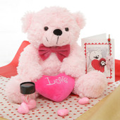 True Love Pink Teddy Bear Hug Care Package 18in