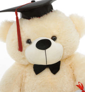 Super soft Cream Graduation Teddy Bear with Diploma