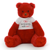 Prom Proposal Teddy Bear