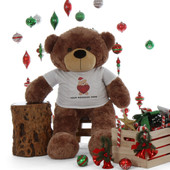 48in life size Personalized shirt cute Christmas Teddy Bear Mocha Sunny Cuddles