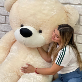 big and cute teddy bear