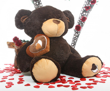 cute teddy bear with chocolate