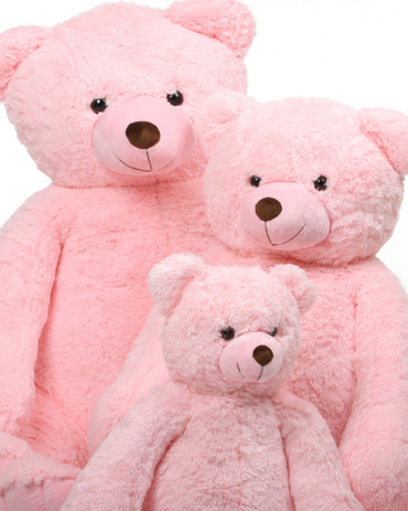 a pink teddy bear