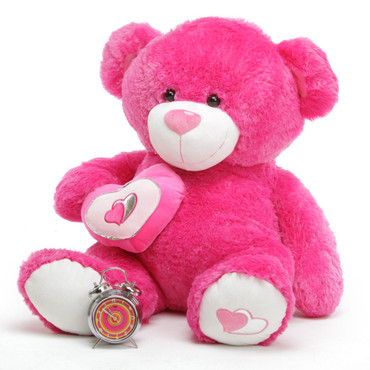 a pink teddy bear