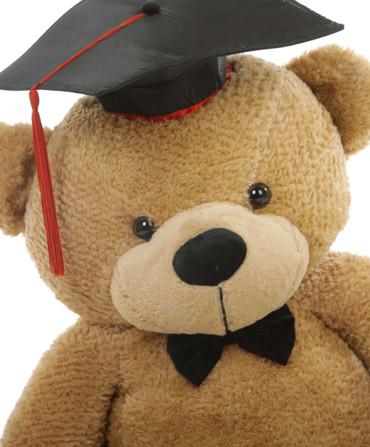 teddy bear graduation gift