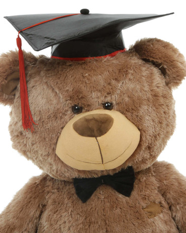 big graduation bear