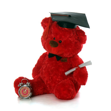 red teddy bear with cap