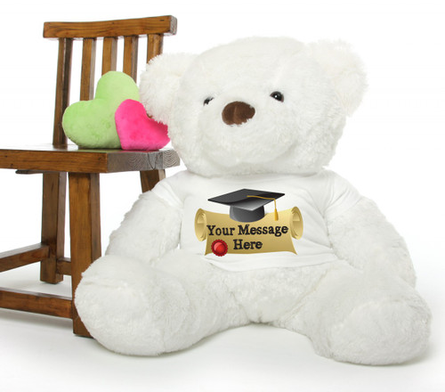 graduation teddy bears bulk