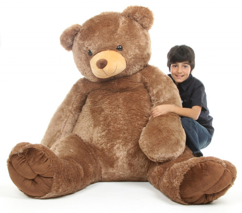 big brown teddy