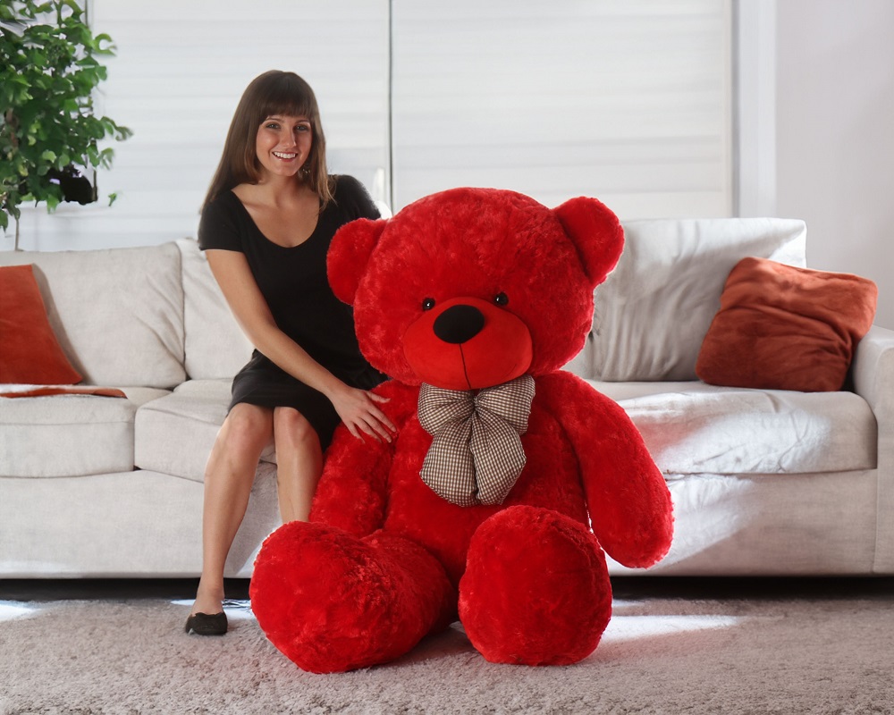 A Large Red Teddy Bear