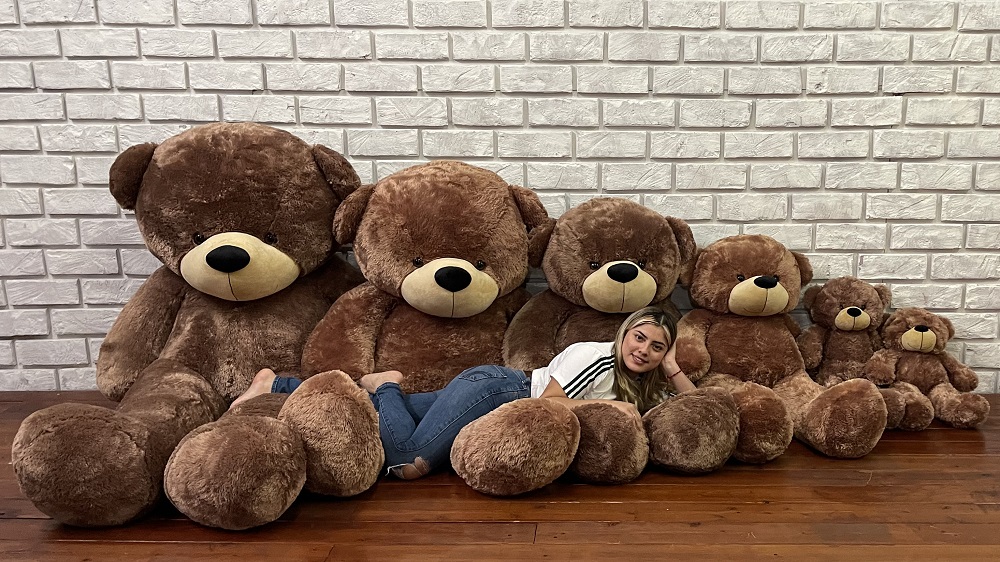 110005-family-brown-teddy-beart.jpg