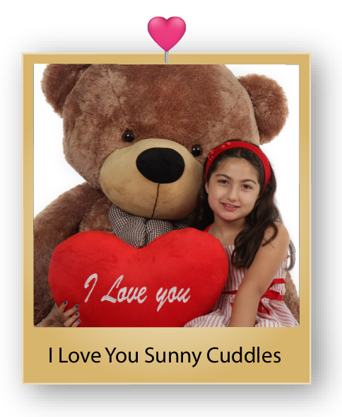 sunny-cuddles-giant-mocha-teddy-bear-02.png