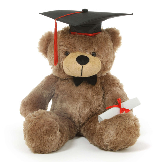 teddy with cap