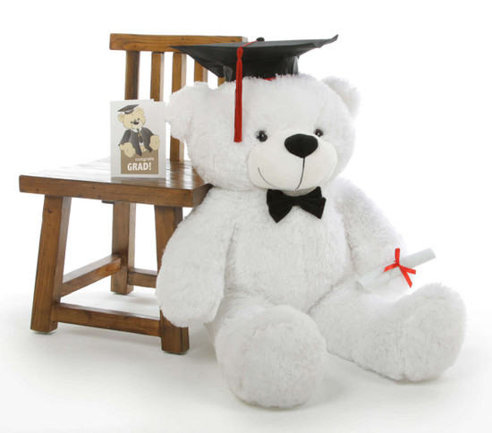 graduation teddy bear clintons