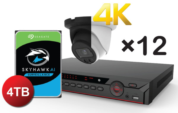 16CH 4K 16 PoE Smart Dual Illumination Eyeball IP Camera Kit by Dahua Technology