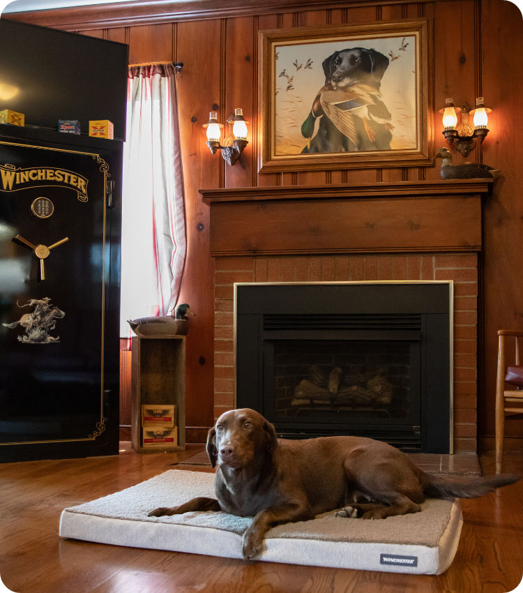 height = width / aspect-ratio