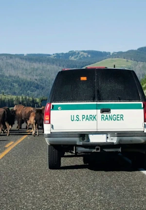 Police vehicle with a weBoost Drive Reach Professional NMO 478061 cell phone booster