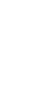 White triangle right arrow