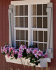 shed windows with flower box