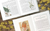 Herbs that Heal
(Catholic) Home Remedies to Forage and Grow