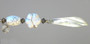 Mother of Pearl & Cream Stone Ceiling Fan Pull