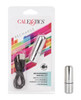 Our Rechargeable Silver Bullet Vibe from CalExotics