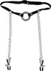 Fetish Fantasy Series Gag with Nipple Clamps