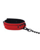 Red Vegan Leather Bondage Collar & leash