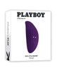 Playboy Pleasure panty vibrator shown in retail packaging, featuring product display and branded box design for presentation and storage.