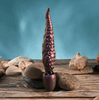 Iridescent purple tentacle vibrator standing upright on stacked stones, with raised sucker details, a bulbous wand base, seashells and an ocean-blue background.