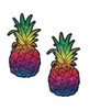 ainbow Glitter Pineapple Nipple Pasties with multicolored glitter and black detailing