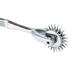 Rouge Stainless Steel 2 Prong Pinwheel