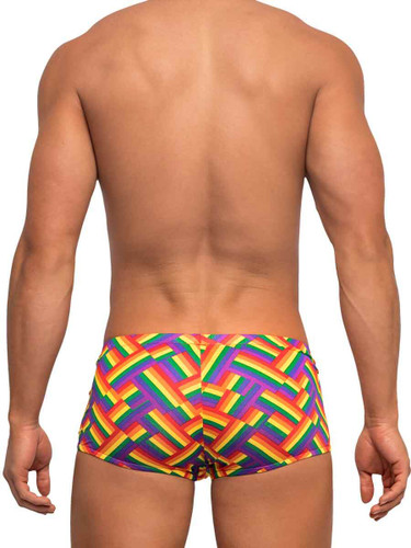 Male Power Pride Shorts