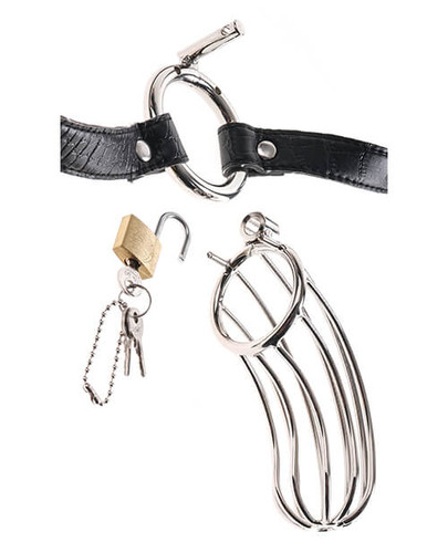 Metal Wire Cock Cage for chastity denial play