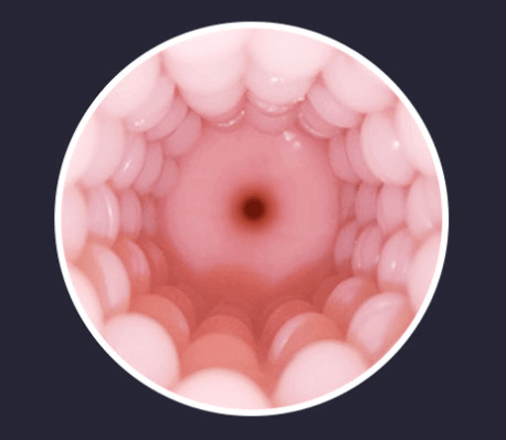 The Lovense Vagina Interior is incredibly realistic